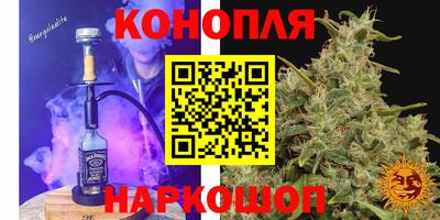 прущие крисы Шахты