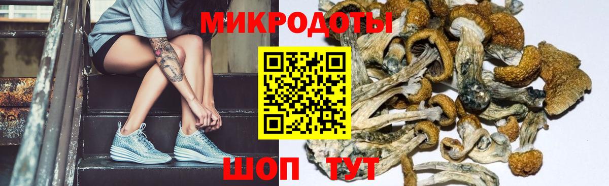 Галлюциногенные грибы Psilocybine cubensis Белореченск